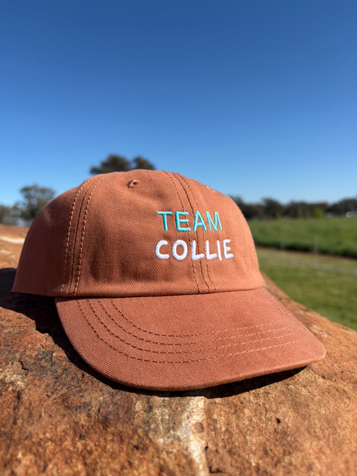 TEAM COLLIE kids hat