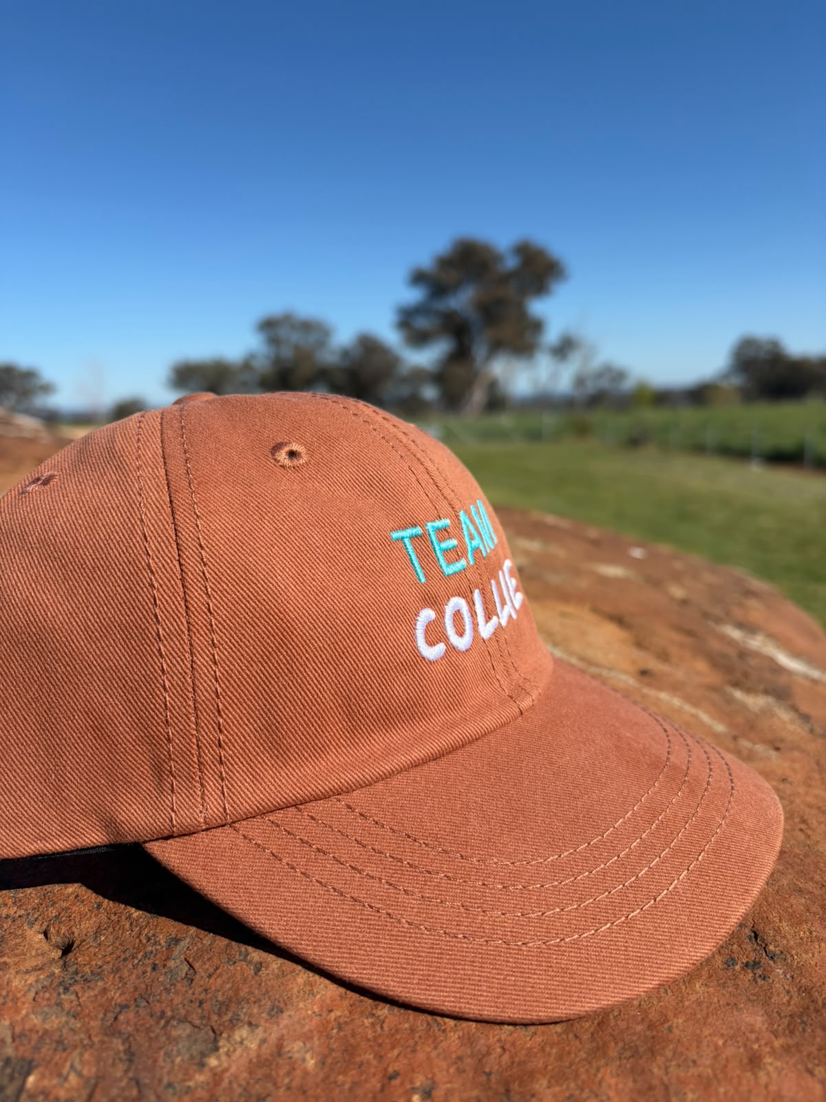 TEAM COLLIE kids hat
