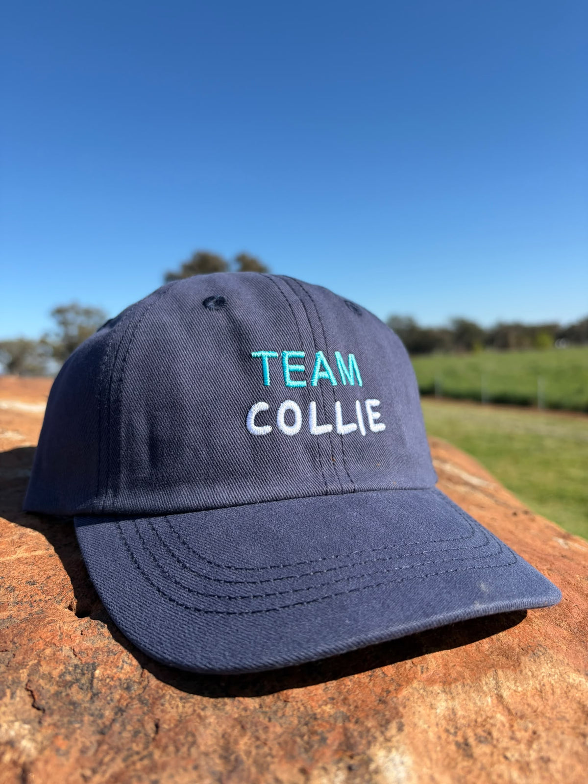 TEAM COLLIE kids hat