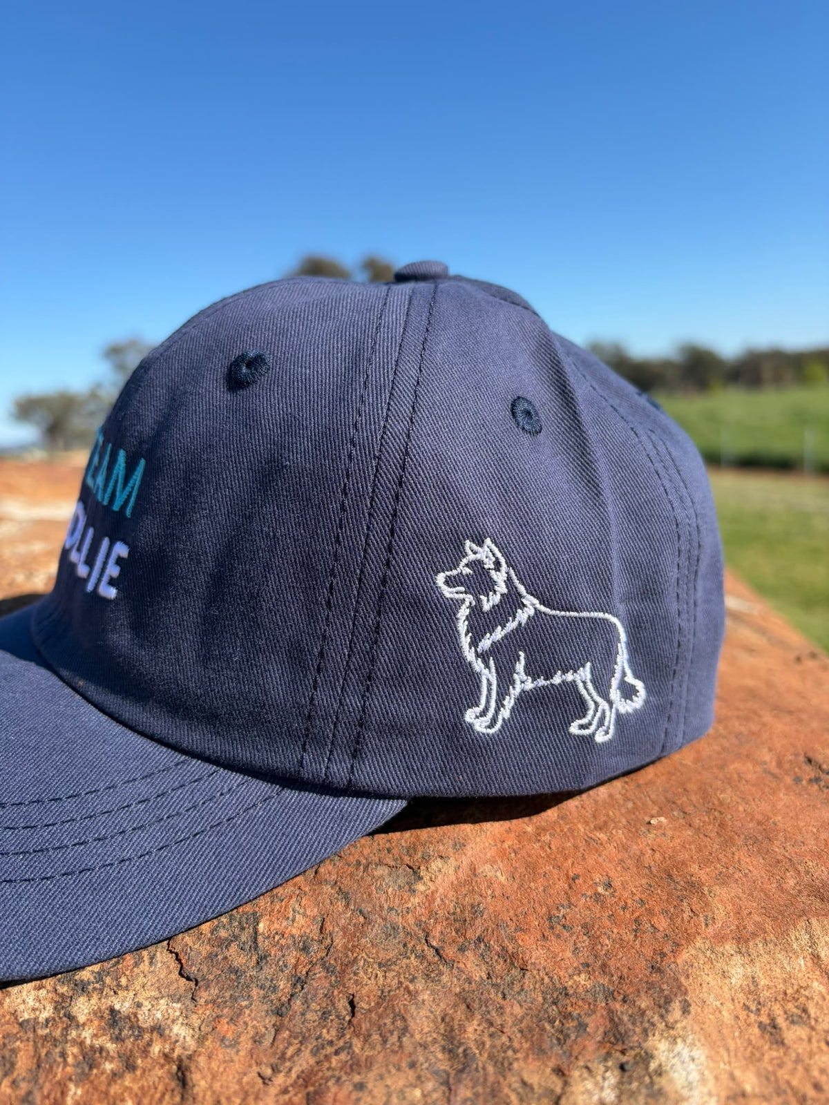 TEAM COLLIE kids hat